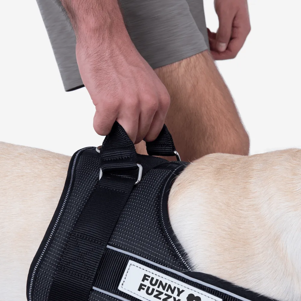 Easy-to-wear Dog Harness丨Anti Pull Large Dog Harness For Trunk with Handle